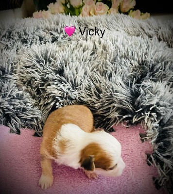 vicky