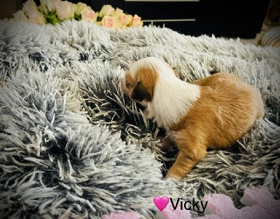 vicky